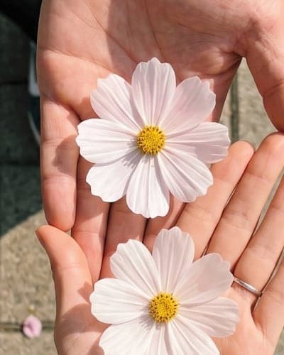 설레임파티 참여 후 커플 성사